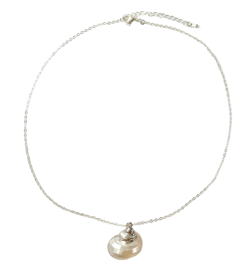Glowing Seashell Necklace $20