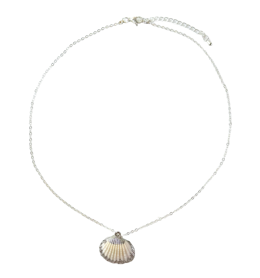 Classic Seashell Necklace $20